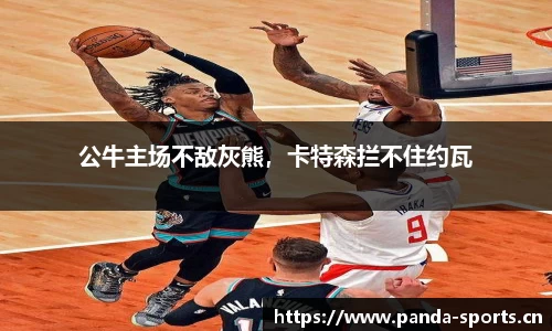 熊猫体育平台