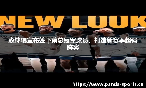 森林狼宣布签下前总冠军球员，打造新赛季超强阵容