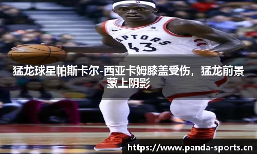 熊猫体育平台