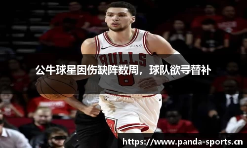 公牛球星因伤缺阵数周，球队欲寻替补