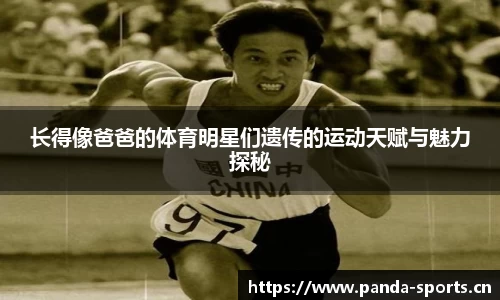 熊猫体育