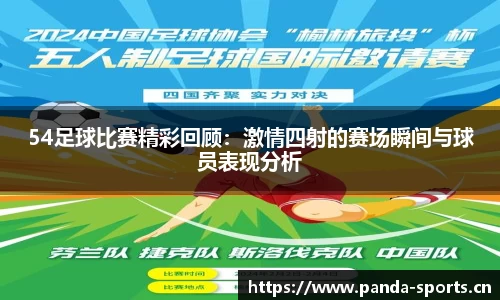 熊猫体育官网