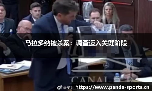 熊猫体育平台