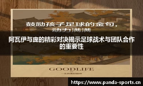 熊猫体育官网