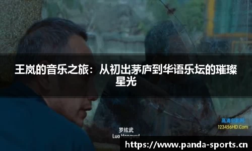 王岚的音乐之旅：从初出茅庐到华语乐坛的璀璨星光